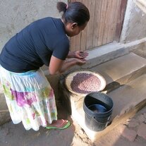 Agnes beim Säubern der Bohnen.